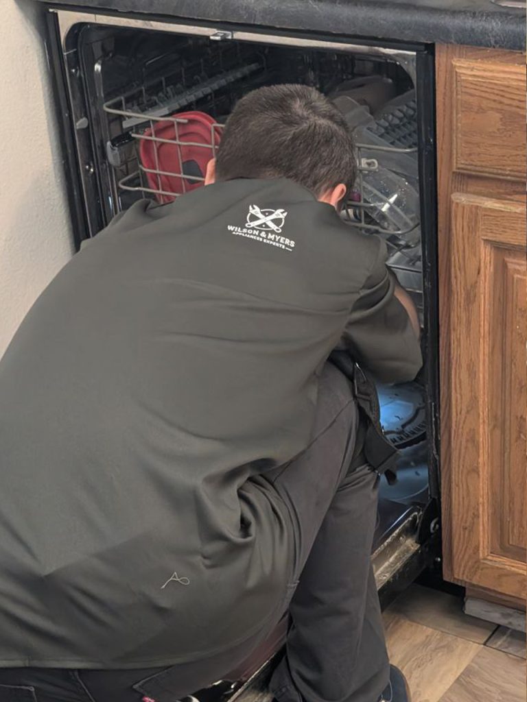 Dishwasher repair