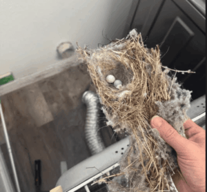 Dryer vent cleaning
