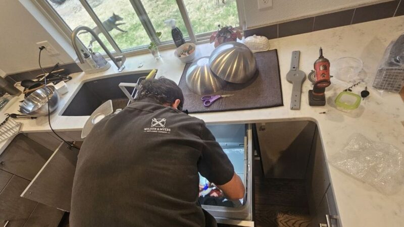 Why Your Dishwasher Is Not Drying Dishes (And How to Fix It)