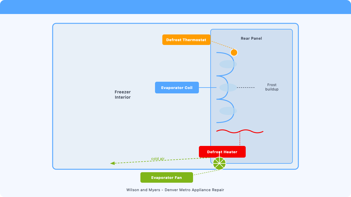 Freezer component diagram showing evaporator coil, evaporator fan, defrost heater, condenser coils, compressor, and door gasket locations