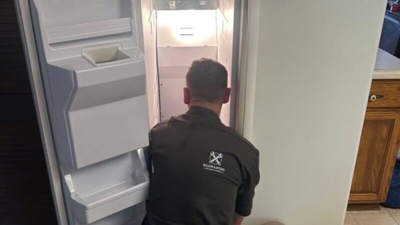 Samsung Fridge Not Making Ice? Full Guide