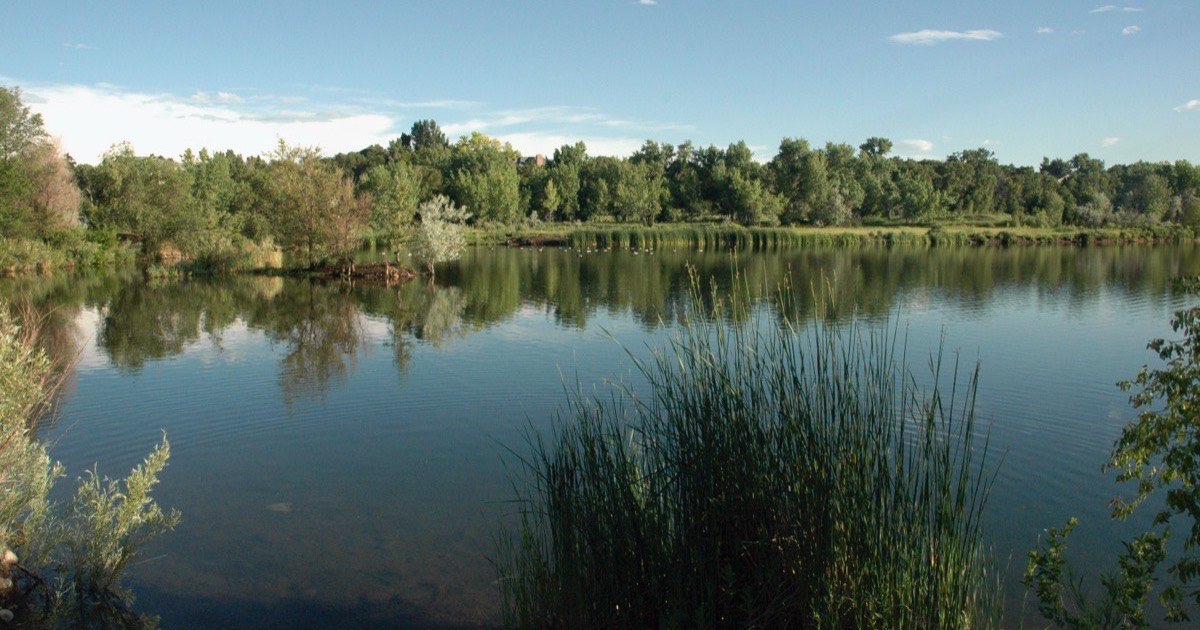 West Lake Prospect Park Wheat Ridge Colorado - appliance repair Wilson and Myers