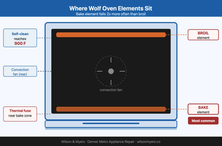 Wolf oven interior cutaway showing broil element at top, bake element at bottom, and convection fan at rear