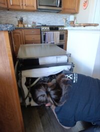 Technician servicing the underside of a dishwasher