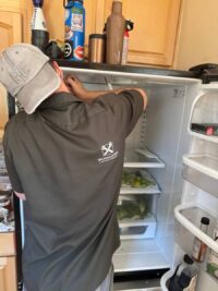 Technician examining freezer shelves and vents